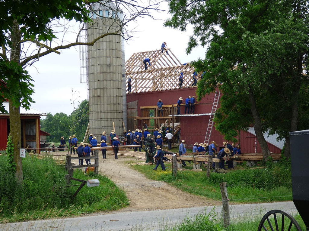 The Amish Way