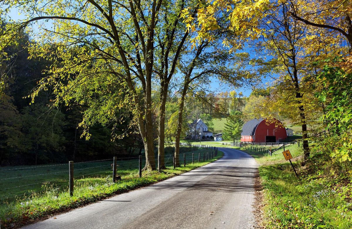 Amish Country Autumn: Leaves Top In World
