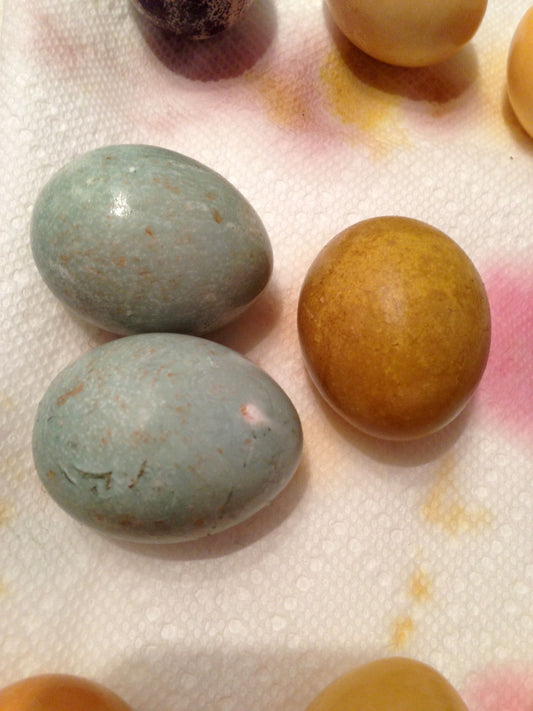 Recipe of the Week: Naturally Dyed Easter Eggs