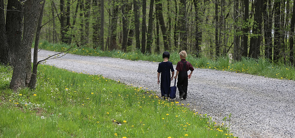 Our Amish Neighbors