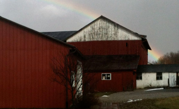 Part II: An Amish Church Sunday