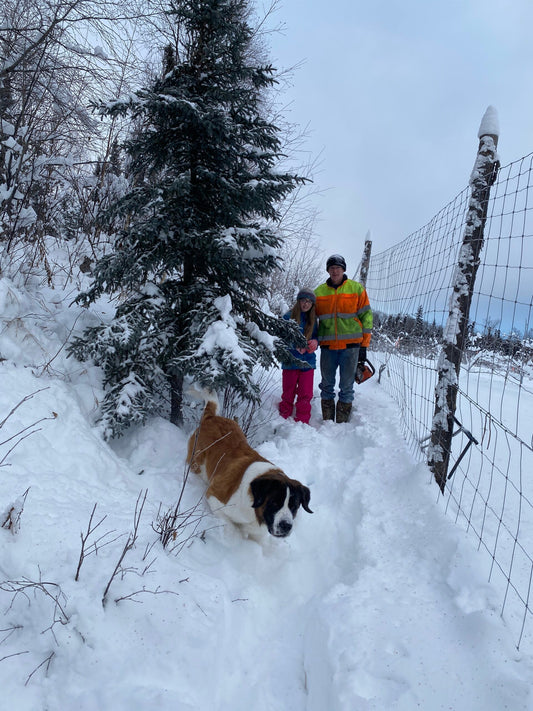 New Holiday Traditions for New Family Dynamics