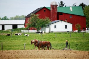 Ascension Day in Amish Country