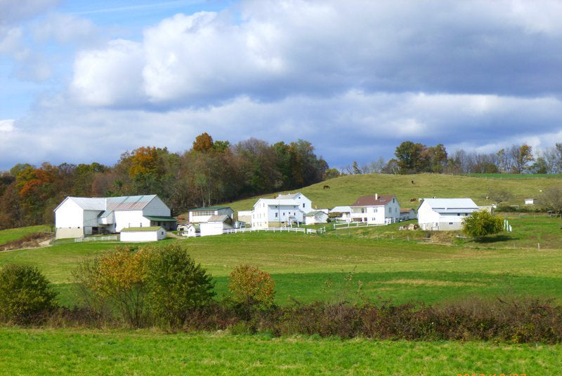 Places to Visit in Ohio's Amish Country