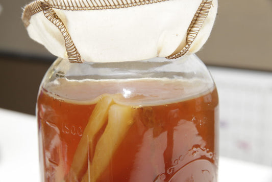 Our Office SCOBY, Part I