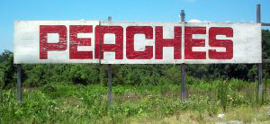 If You Give A Girl A Peach...