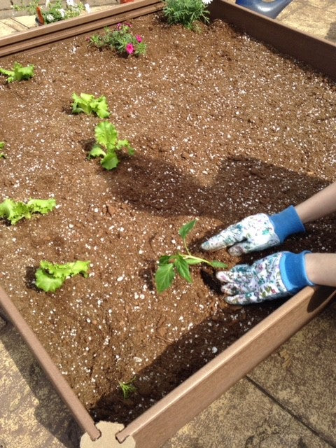 Nailed It, Failed It: Lessons From Last Year's Garden