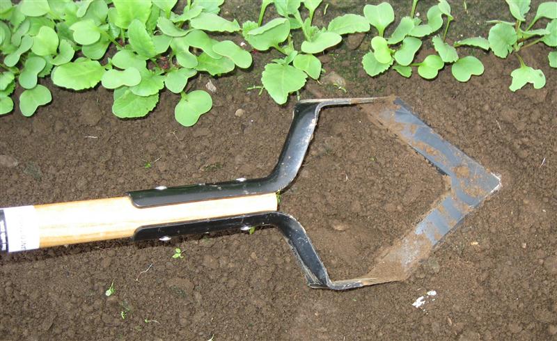 Farmer Hannah's Hoe Doe-Si-Doe