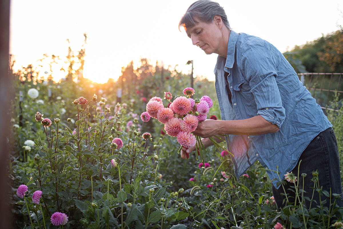What's Happening on the Homestead: Fantastic Fall Flowers