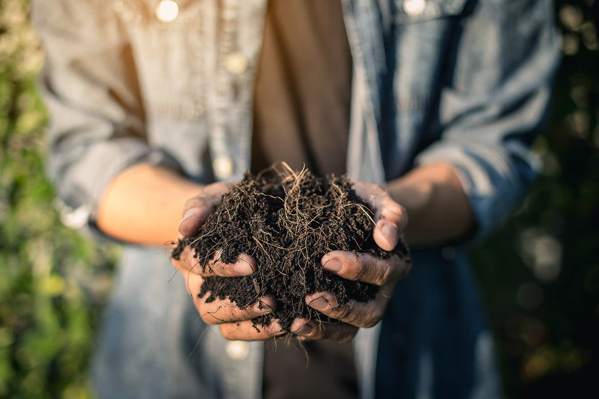 Living a Zero-Waste Lifestyle