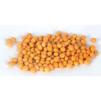 Recipe of the Month: 10 Tips for Soybean Snacks!
