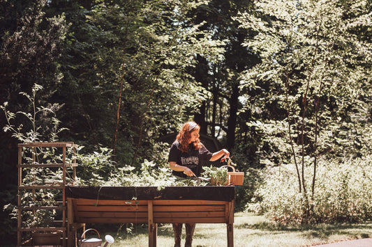 Gardening for Food Security: How to Start