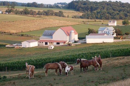 The Joys of Ohio’s Amish Country
