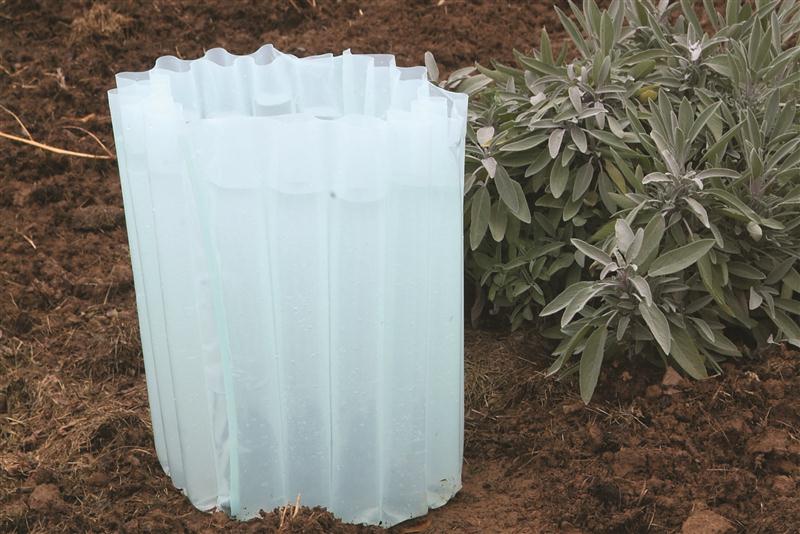 Get Protection for Delicate Seedlings