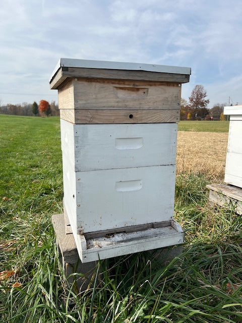 Winter Beekeeping Tips: How to Help Your Hive Thrive All Season