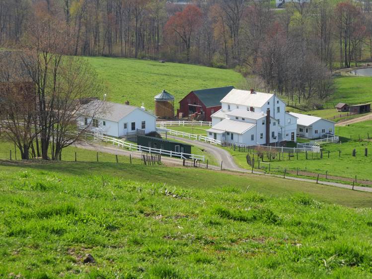 Eli and Mattie: Spring on an Amish Farm