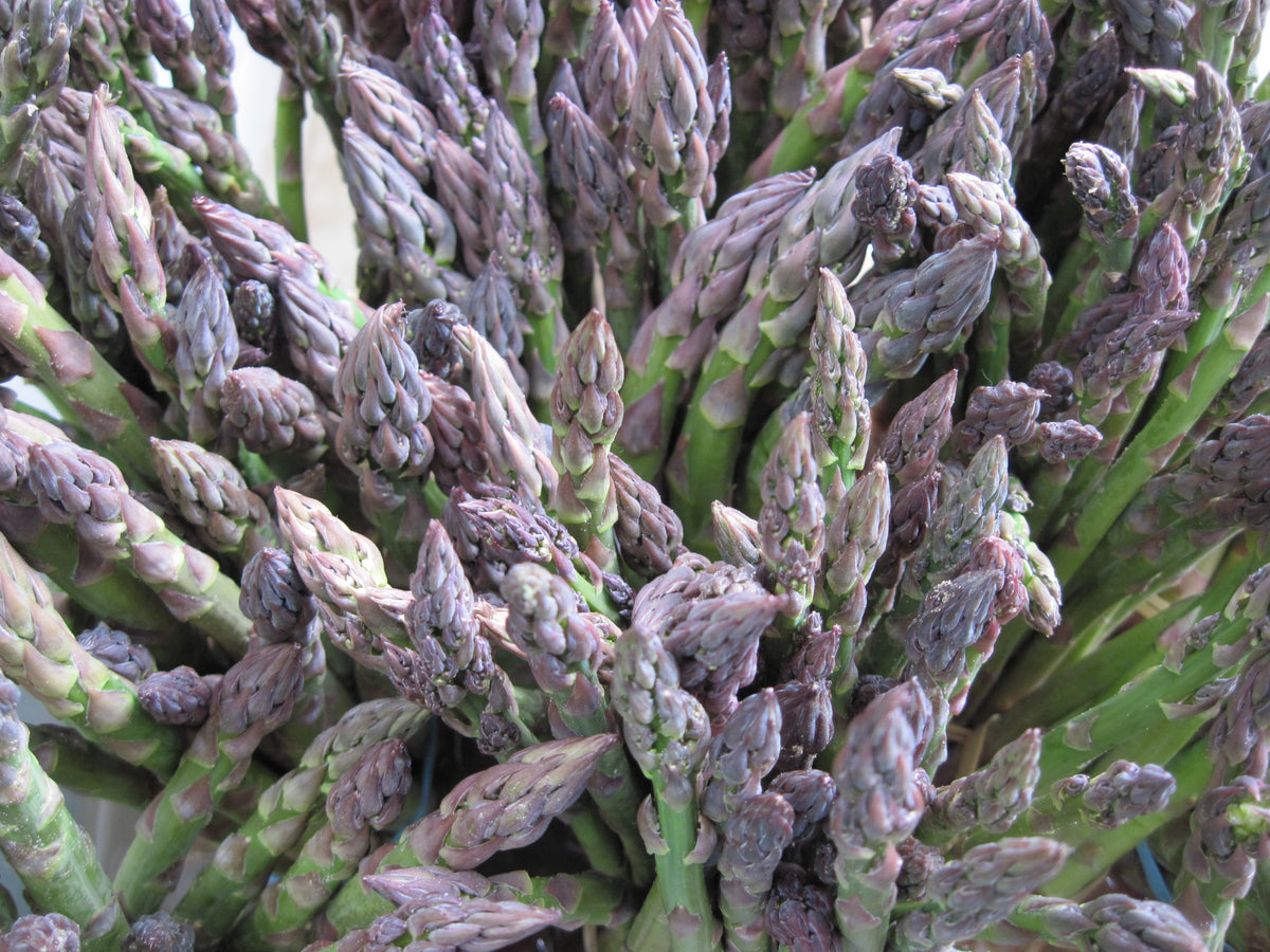 Growing Great Asparagus