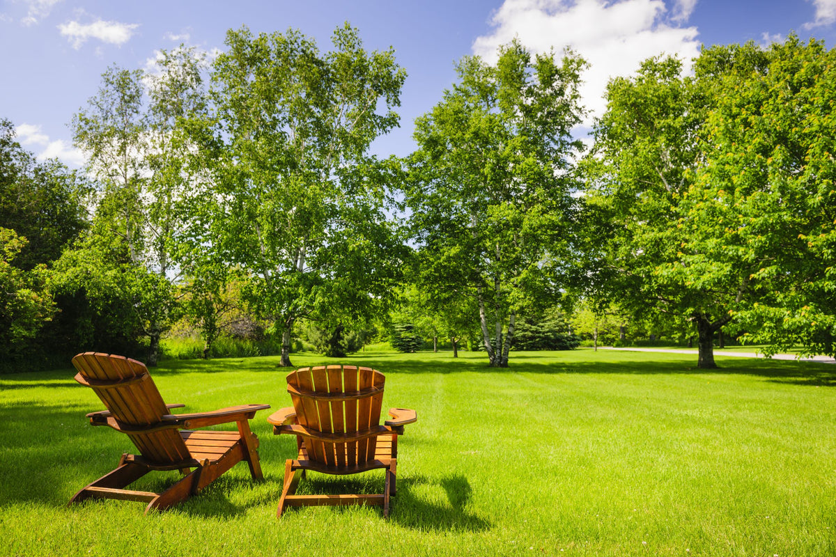 Practical Pest Control for Summer