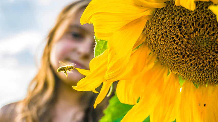 5 Ways to Help Bees Thrive
