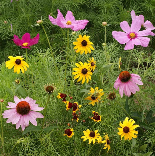 What to Plant: Invite Beautiful, Beneficial Creatures to Your Yard