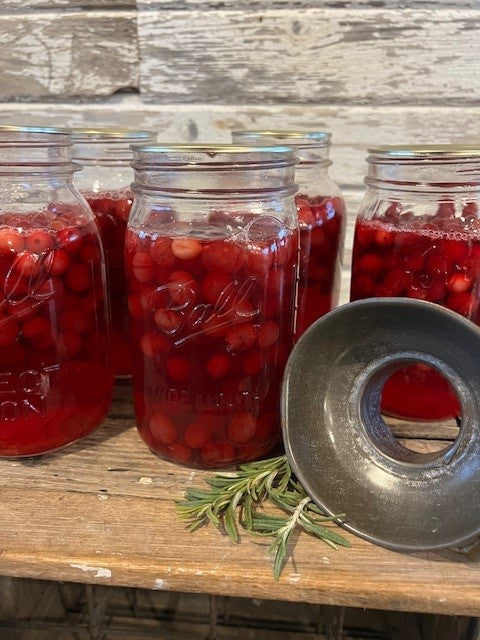 Turn Your Cranberry Surplus into Fresh Homemade Juice - Here’s How