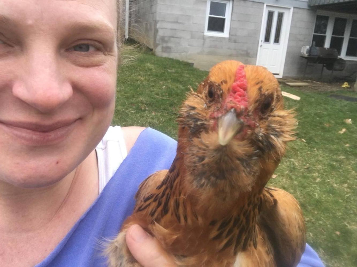 The Chicken Who Could Stop Time