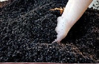 Composting: A green solution to household waste