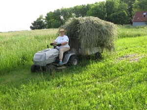 Getting Ready for Winter at Ash Lane Farm