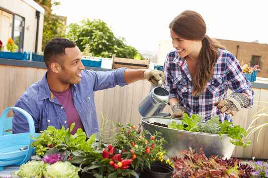 Gardening in Small Spaces
