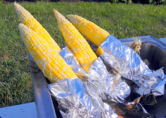 Fire-Roasted Sweet Corn: Fleeting Taste of Summer