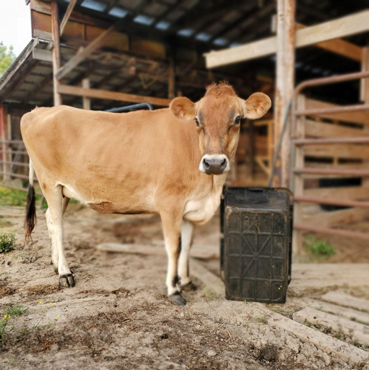 A Sustainable Way of Life