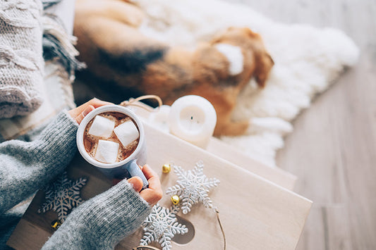 9 Ways to Make Your Home Cozy This Season