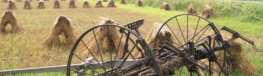 Things Looking Up For Country Life!