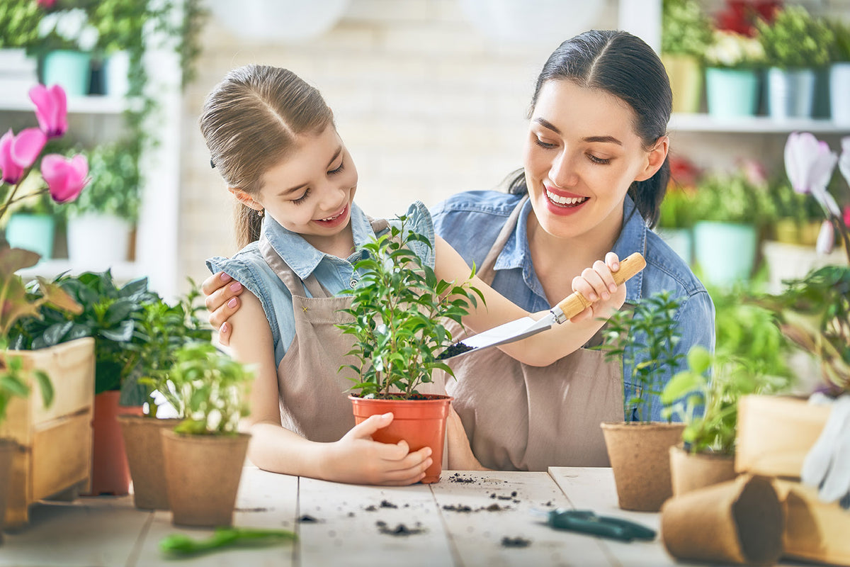 What We've Learned from Mom