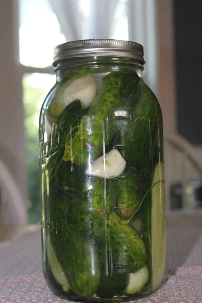 Recipe for Small Batch Refrigerator Dill Pickles
