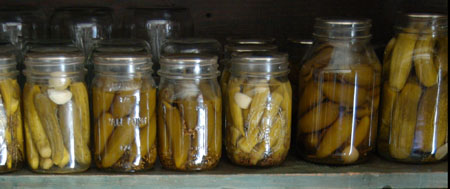 Mom's Floppy Dill Pickles