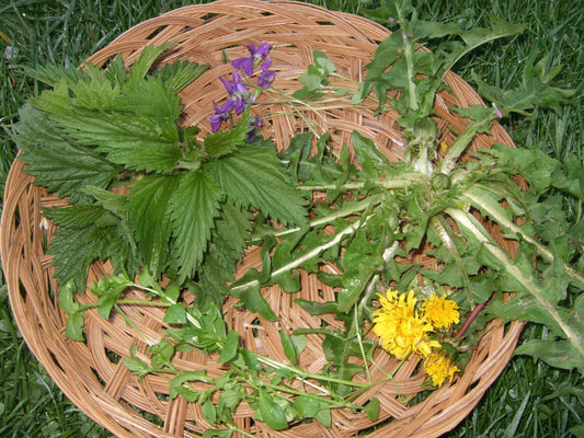 Eat Your Weeds!