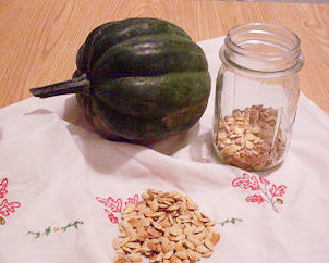 Save That Squash Seed!