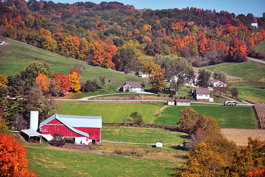Experience Fall in Ohio's Amish Country