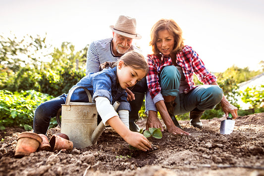 Before You Plant: Gardening Tips for the Novice