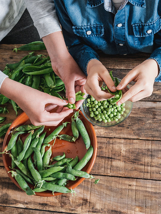 Making Memories: When Food Preservation Lasts a Lifetime