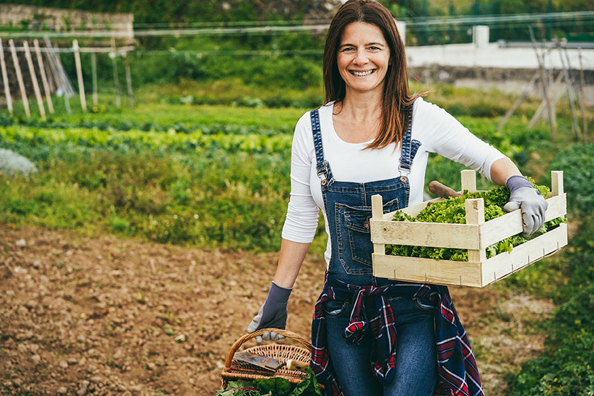 Using Hardiness Zones to Aid in Gardening