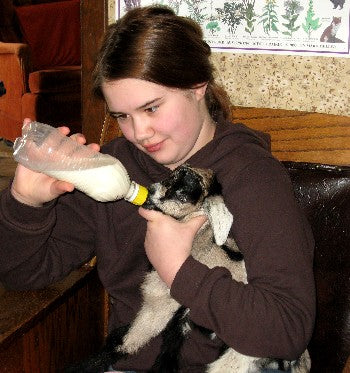 Survival: Caring for Orphan Lambs and Kids