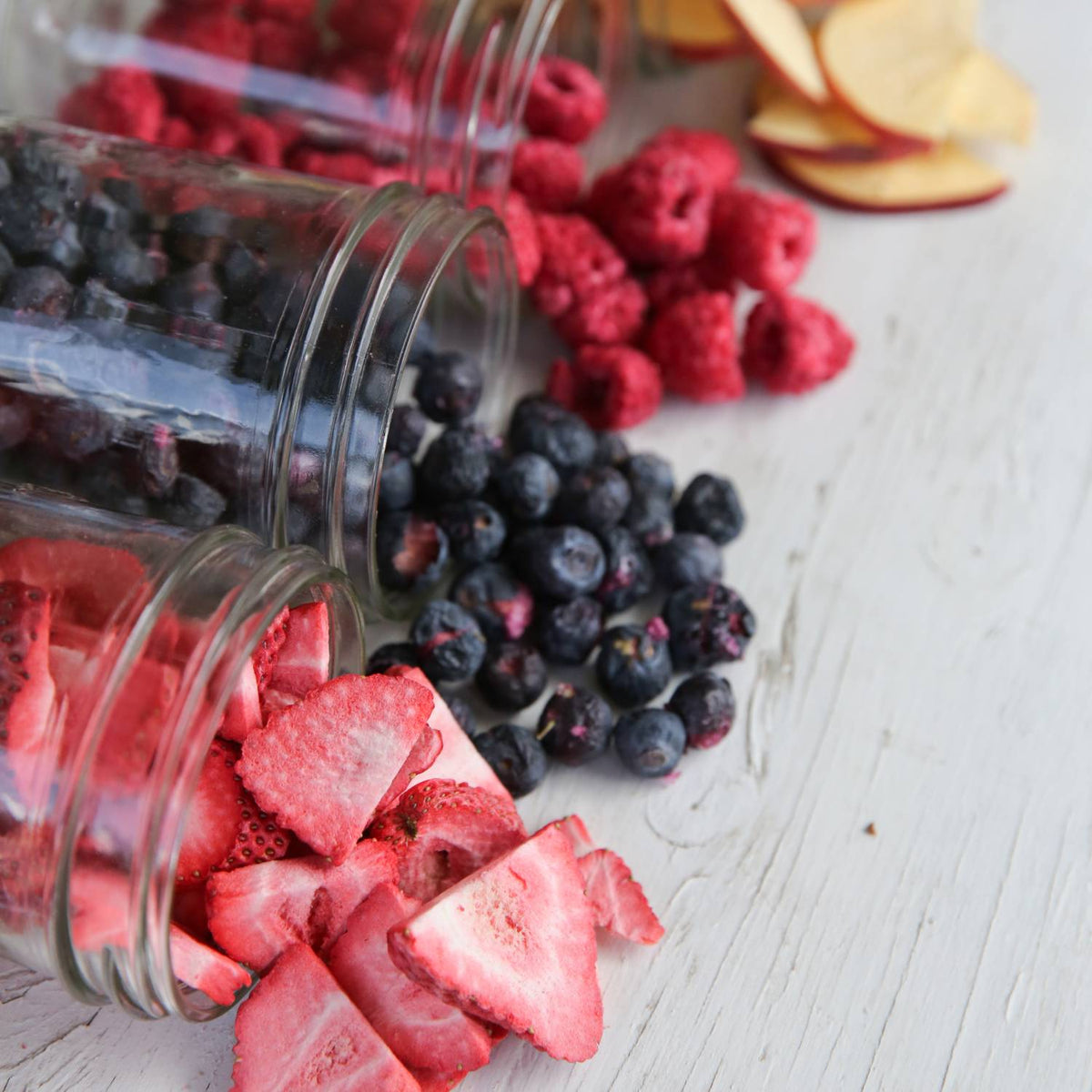 Freeze Drying 101: The Basics