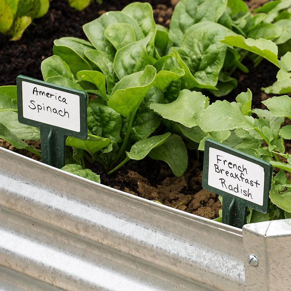 Seed Starting 101: Tips From Our Favorite Expert!