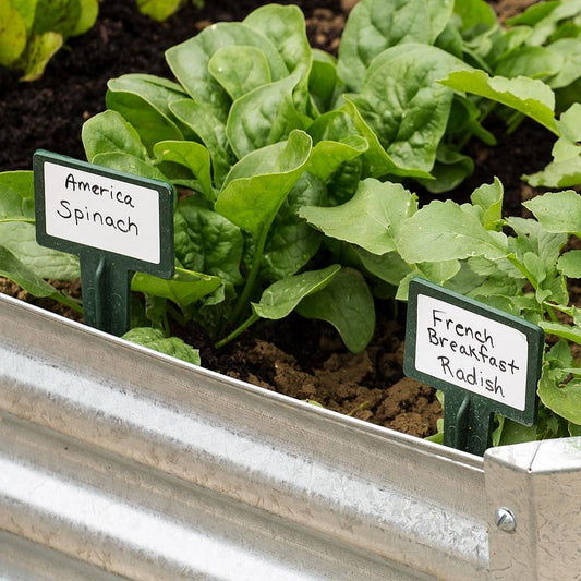Seed Starting 101: Tips From Our Favorite Expert!