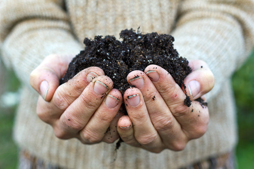 Spring Soil Prep For A Healthy Garden