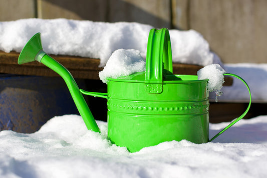 Gardening in January