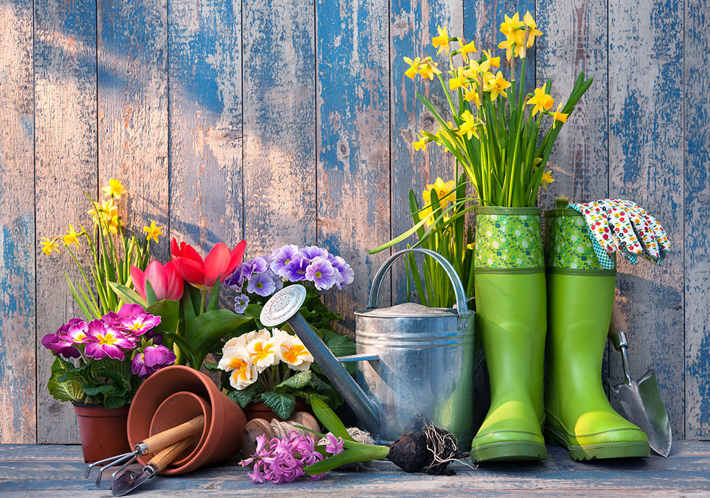 10 Tips To Get Your Home And Garden In Tip-Top Shape