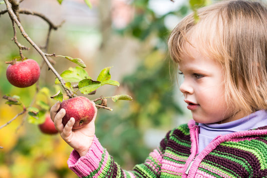 Summer Into Fall: How to Enjoy it With Children